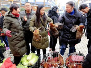 图说 一路欢歌，苗族人的“中国梦”与农林特产
