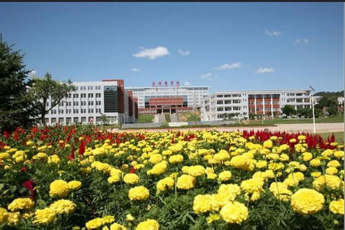 承德医学院现任领导班子成员与校园关联的农林特产侧写