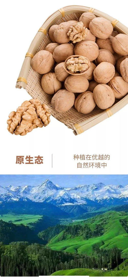 原味新疆，从指尖到舌尖的自然馈赠——记嗨途户外源头直供正宗温宿185核桃