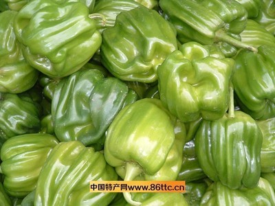 圆椒_蔬菜类_农林牧渔行业_产品_原产地特产网